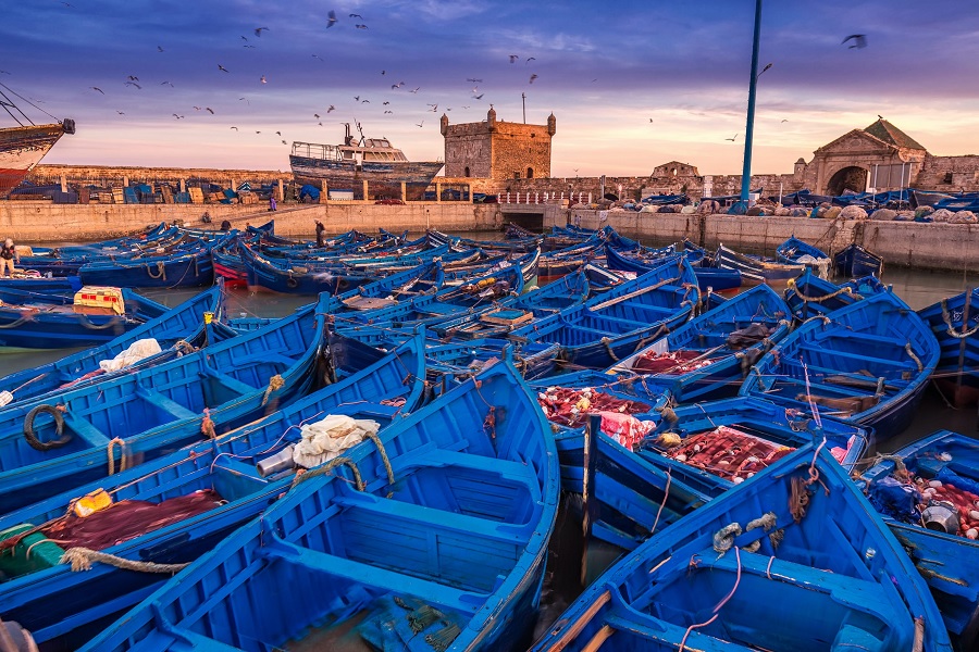 Tour a Marruecos 12 Días Casablanca a Marrakech