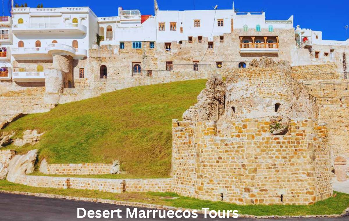 14-Day Morocco Travel Itinerary: The Complete Grand Loop 
