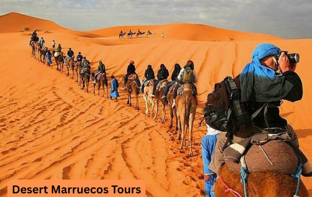 Which Morocco Desert Tour Is Best? 2026 Honest Guide