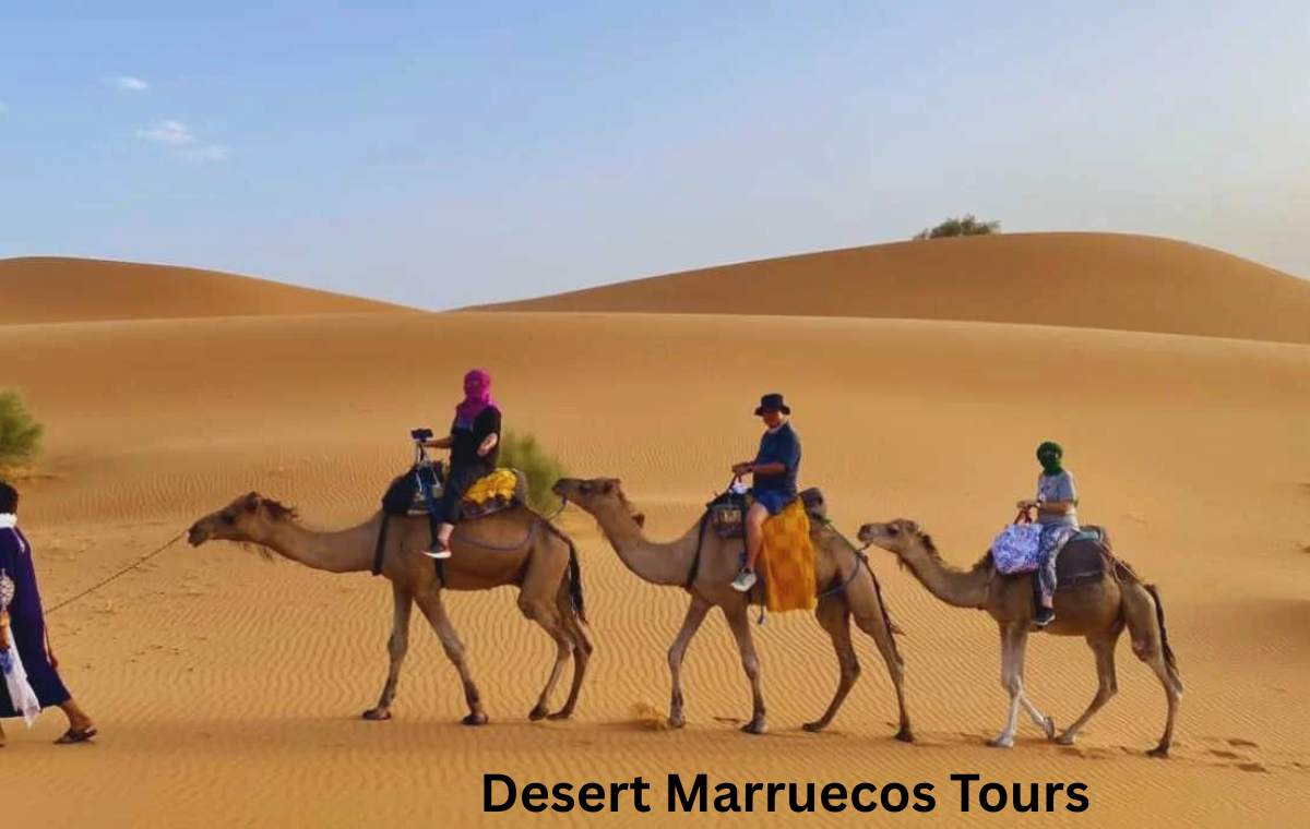 Casablanca to Sahara Grand Tour: Routes
