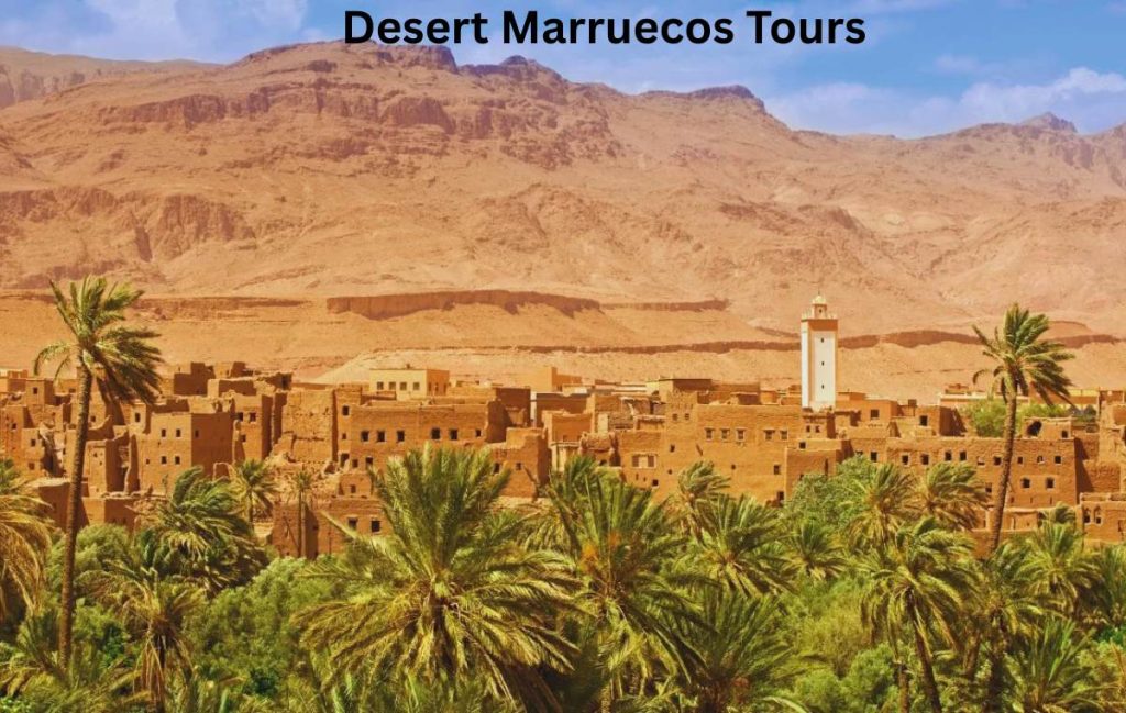 Casablanca to Sahara Grand Tour: Routes, Transport & Costs