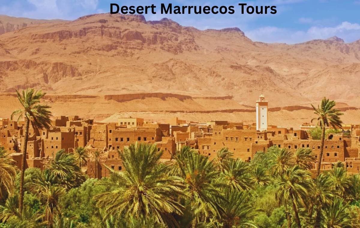Casablanca to Sahara Grand Tour: Routes, Transport & Costs
