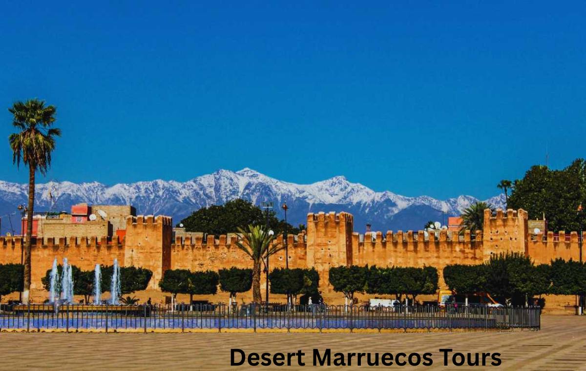 Complete 15-Day Morocco Trip: Cities, Sahara & Coast Loop