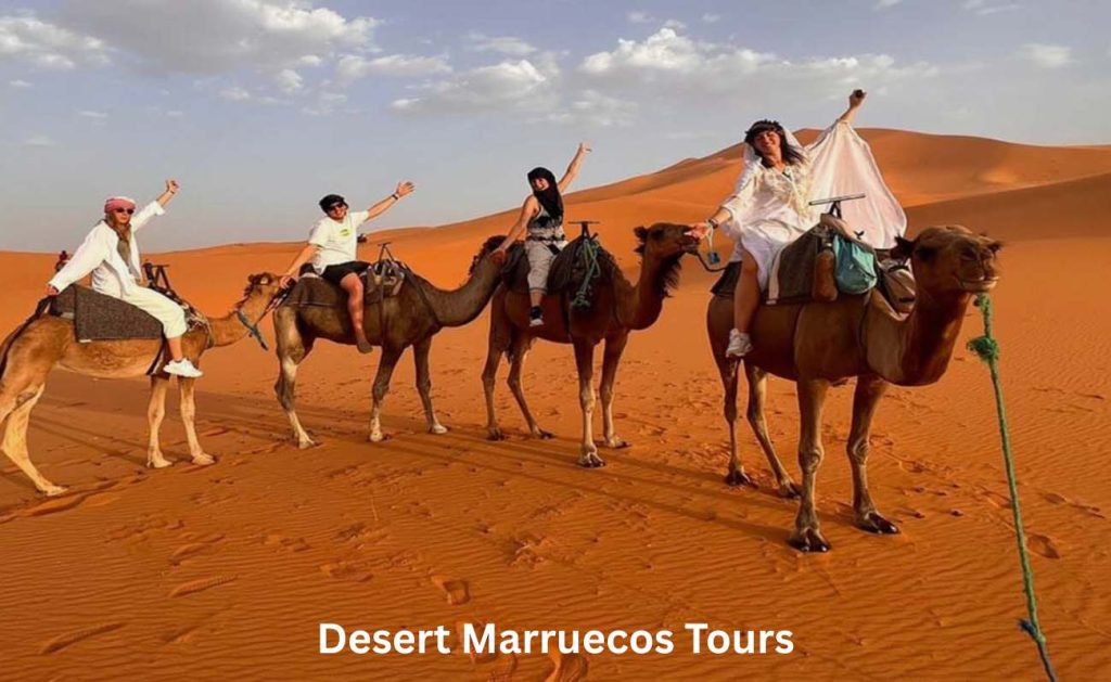 Is a Sahara Desert Tour Worth It
