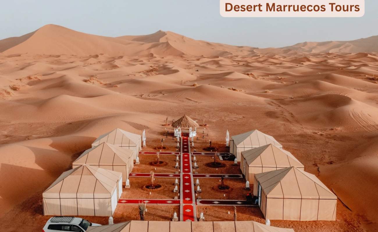 Is a Sahara Desert Tour Worth It - Honest Sugesstion