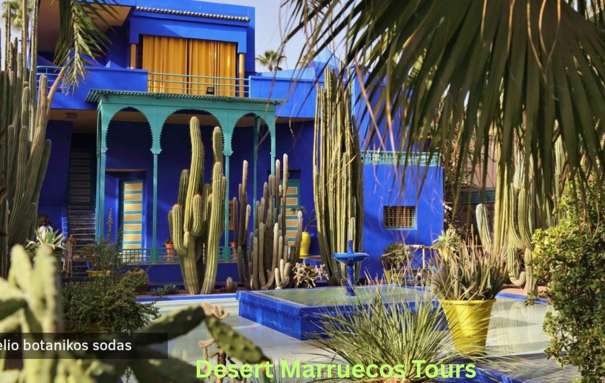 Grand Morocco Tour from Casablanca: Complete Route 