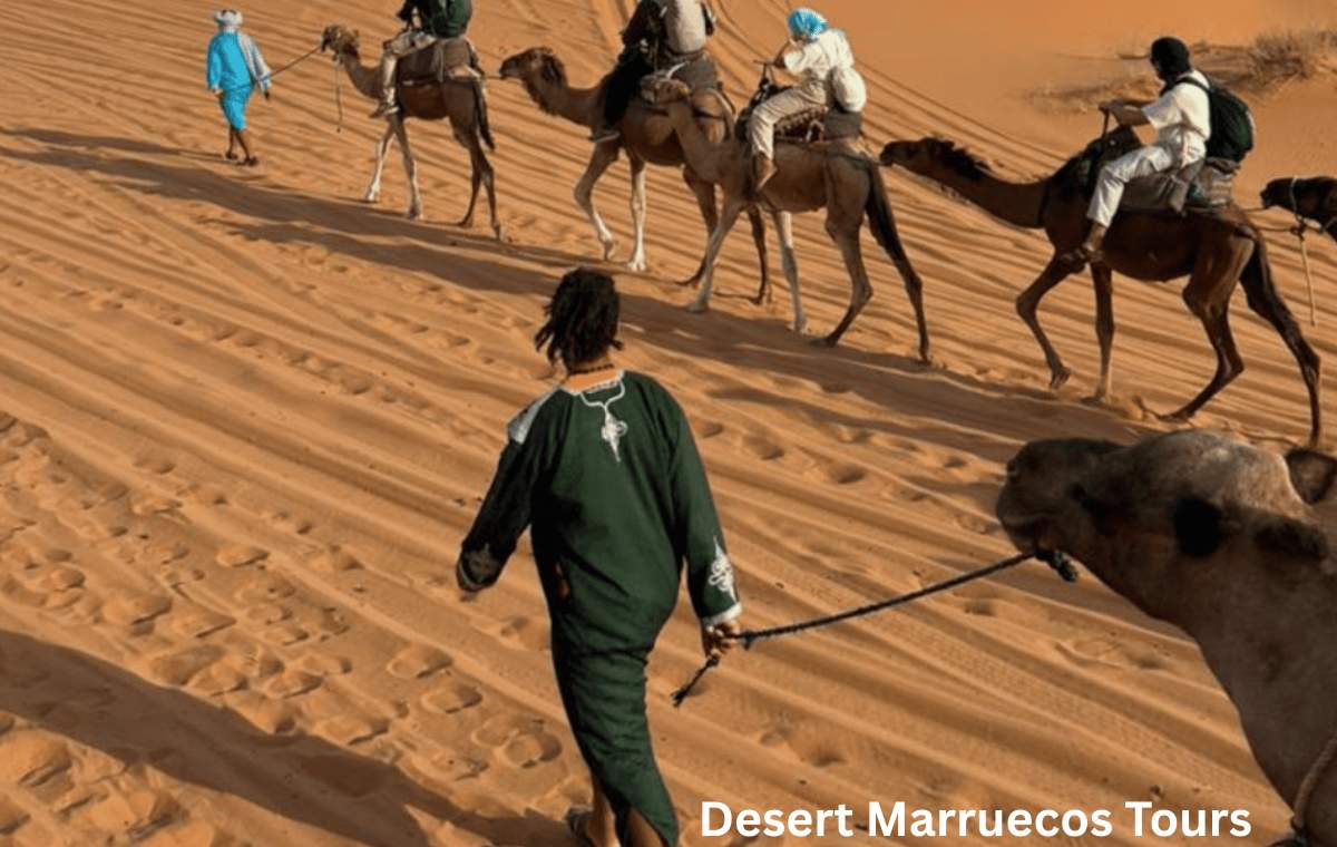 Morocco Desert Tour which is best 